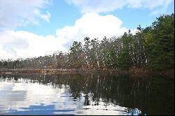 Beautiful Bell Lake Waterfront