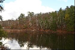 Beautiful Bell Lake Waterfront