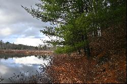 Beautiful Bell Lake Waterfront