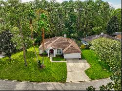 764 Grand Parke Drive,St Johns, FL, 32259