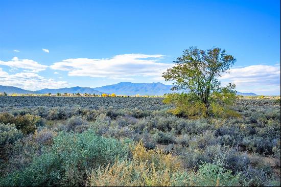 Morgan and Roy, Taos NM 87571