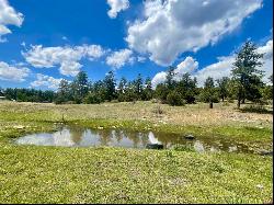 35665 Highway 184, Mancos CO 81328