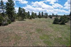 35665 Highway 184, Mancos CO 81328