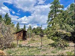 35665 Highway 184, Mancos CO 81328