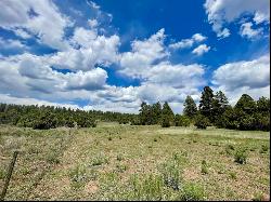 35665 Highway 184, Mancos CO 81328