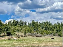 35665 Highway 184, Mancos CO 81328