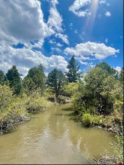 35665 Highway 184, Mancos CO 81328