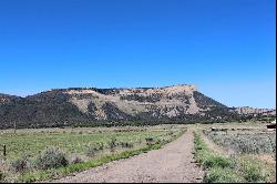 37271 G.25 Road, Mancos CO 81328