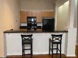 388 Boush Street Unit 101, Norfolk VA 23510