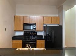 388 Boush Street Unit 101, Norfolk VA 23510