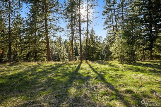 14 X Farmhouse Way, Cle Elum WA 98922