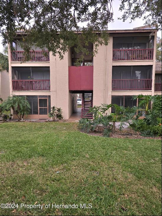 8632 Tahoe Court Unit 7, Tampa FL 33614