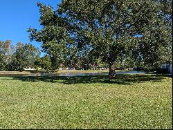 138 Hunter Lake Drive #F, Oldsmar FL 34677