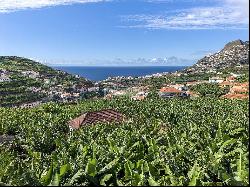  , Câmara De Lobos Madeira