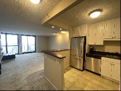 10 E Ontario Street #4105, Chicago IL 60611