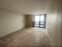 10 E Ontario Street #4105, Chicago IL 60611