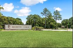 Lot 452 Chinawood Drive, Abita Springs LA 70420