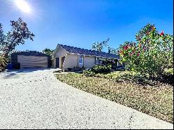 1806 Parkwood Drive, Valrico FL 33594