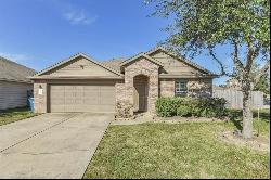 2127 Treasure Mountain Drive, Spring TX 77388