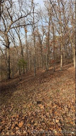 TBD Island View Drive, Eldon MO 65026