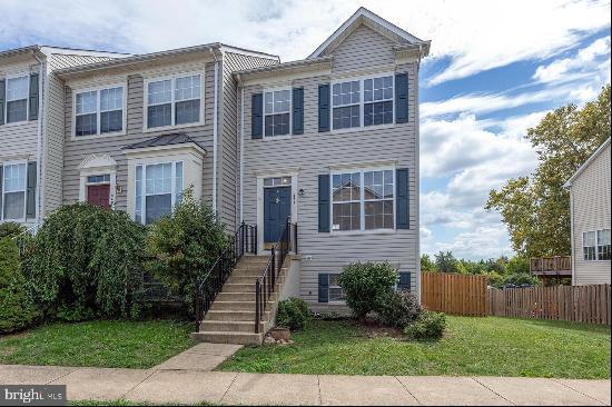 451 Ginkgo Terrace NE, Leesburg VA 20176