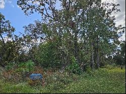 89 Cypress Boulevard E, Homosassa FL 34446