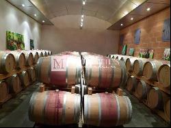 Wine estate north of the Médoc - Well maintained - Charming Girondine - Top-quality farm 