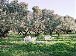 Provençal farmhouse