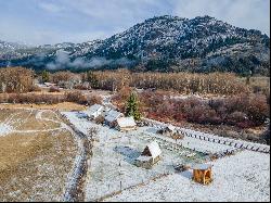 793 Wolf Creek Rd, Mazama, WA 98862