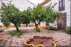 Historic palace house with courtyard in Andujar