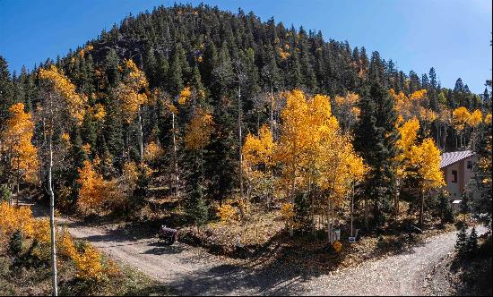 Taos Ski Valley Land