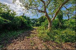 Idyllic 1.2-Acre Lot in Puerto Ferro, Vieques