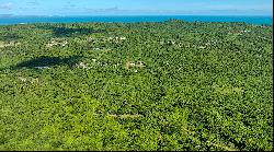 Idyllic 1.2-Acre Lot in Puerto Ferro, Vieques