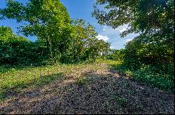 Idyllic 1.2-Acre Lot in Puerto Ferro, Vieques