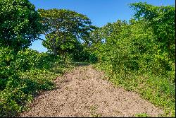 Idyllic 1.2-Acre Lot in Puerto Ferro, Vieques