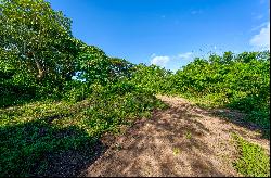 Idyllic 1.2-Acre Lot in Puerto Ferro, Vieques