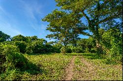 Idyllic 1.2-Acre Lot in Puerto Ferro, Vieques