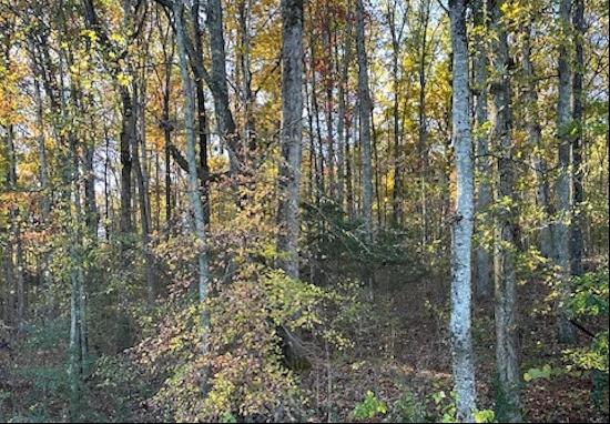 129 Price Mountain Drive, Priceville, AL 35603