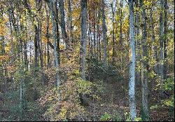 129 Price Mountain Drive, Priceville, AL 35603