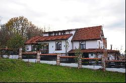 Mansion with view of the Oltului Gorge