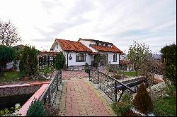 Mansion with view of the Oltului Gorge