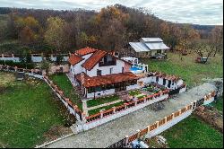 Mansion with view of the Oltului Gorge