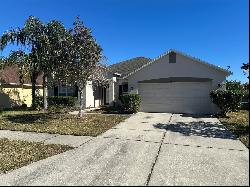 10507 Beneva Drive, Tampa FL 33647