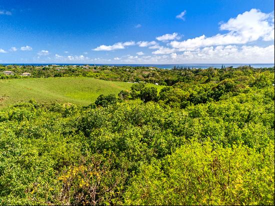 HULUIA RD,Kapaa, HI, 96746