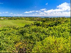 HULUIA RD,Kapaa, HI, 96746