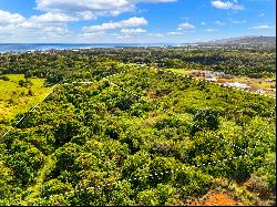 HULUIA RD,Kapaa, HI, 96746