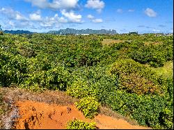 HULUIA RD,Kapaa, HI, 96746