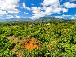 HULUIA RD,Kapaa, HI, 96746