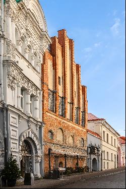 Historic Landmark in the Heart of Vilnius