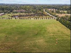 20 Acres of Serene Pastureland Minutes from DT Historic Hillsborough